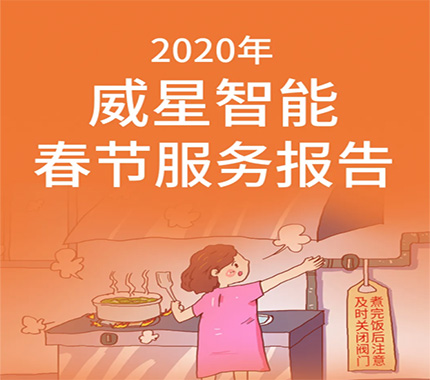 2020年威星智能春節服務報告
